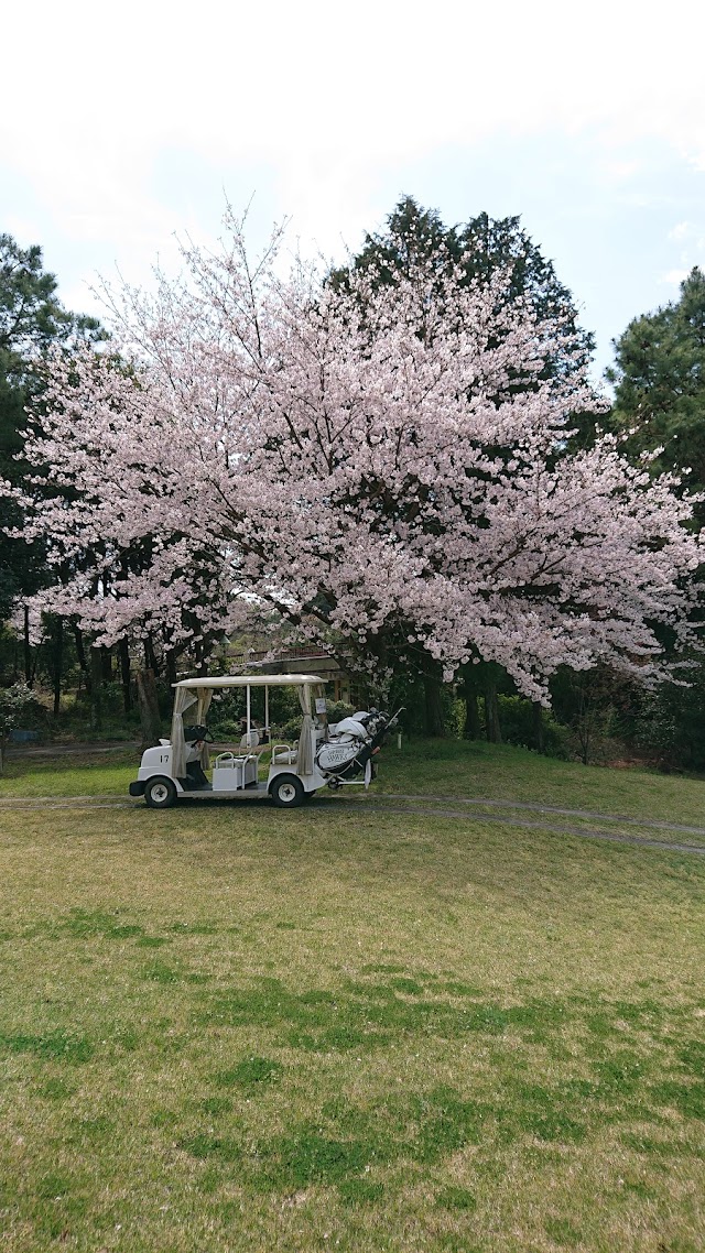 Kogai Country Club - Photo 9