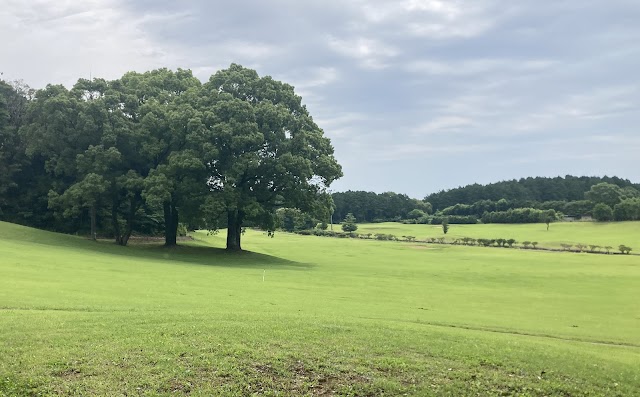 Kogai Country Club - Photo 6