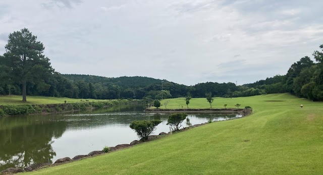 Kogai Country Club - Photo 3
