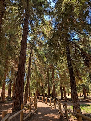 Carbon Canyon Regional Park