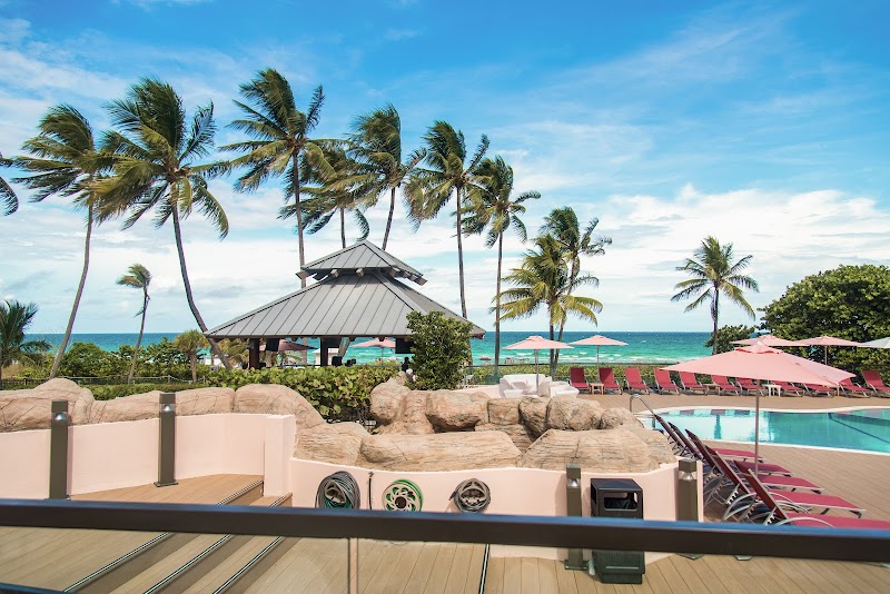 The Alexander Hotel Miami