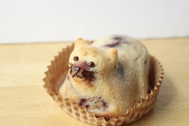 Mac Tabby Cat Cafe - Salisbury photo 2