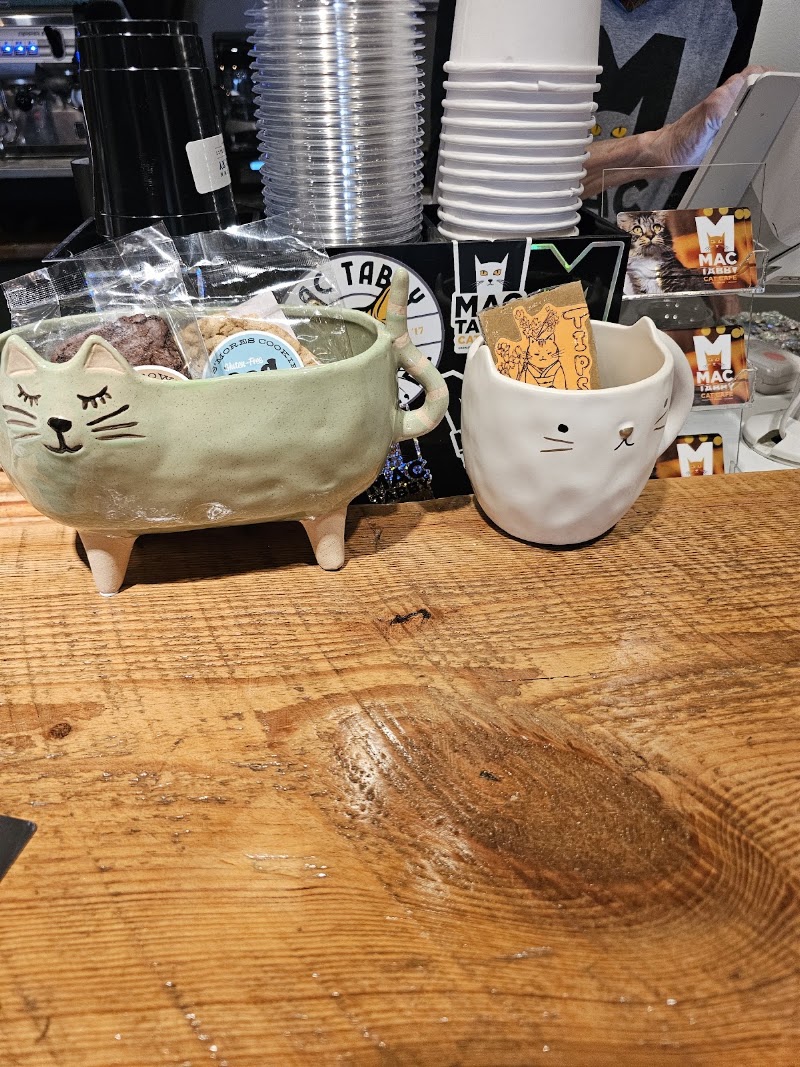 Mac Tabby Cat Cafe - Salisbury photo 3