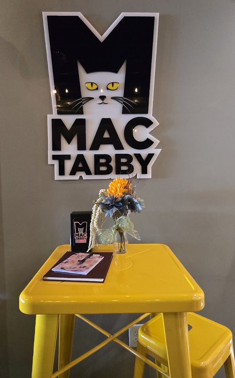 Mac Tabby Cat Cafe - Salisbury photo 4