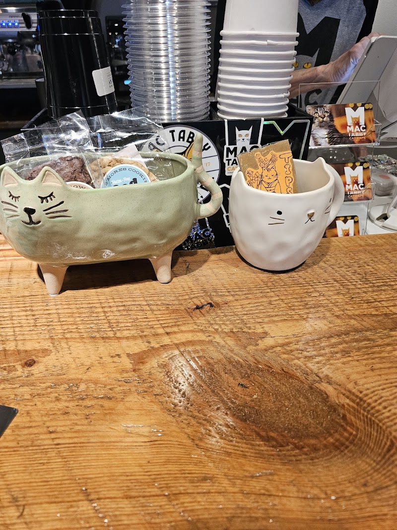 Mac Tabby Cat Cafe - Salisbury photo 2