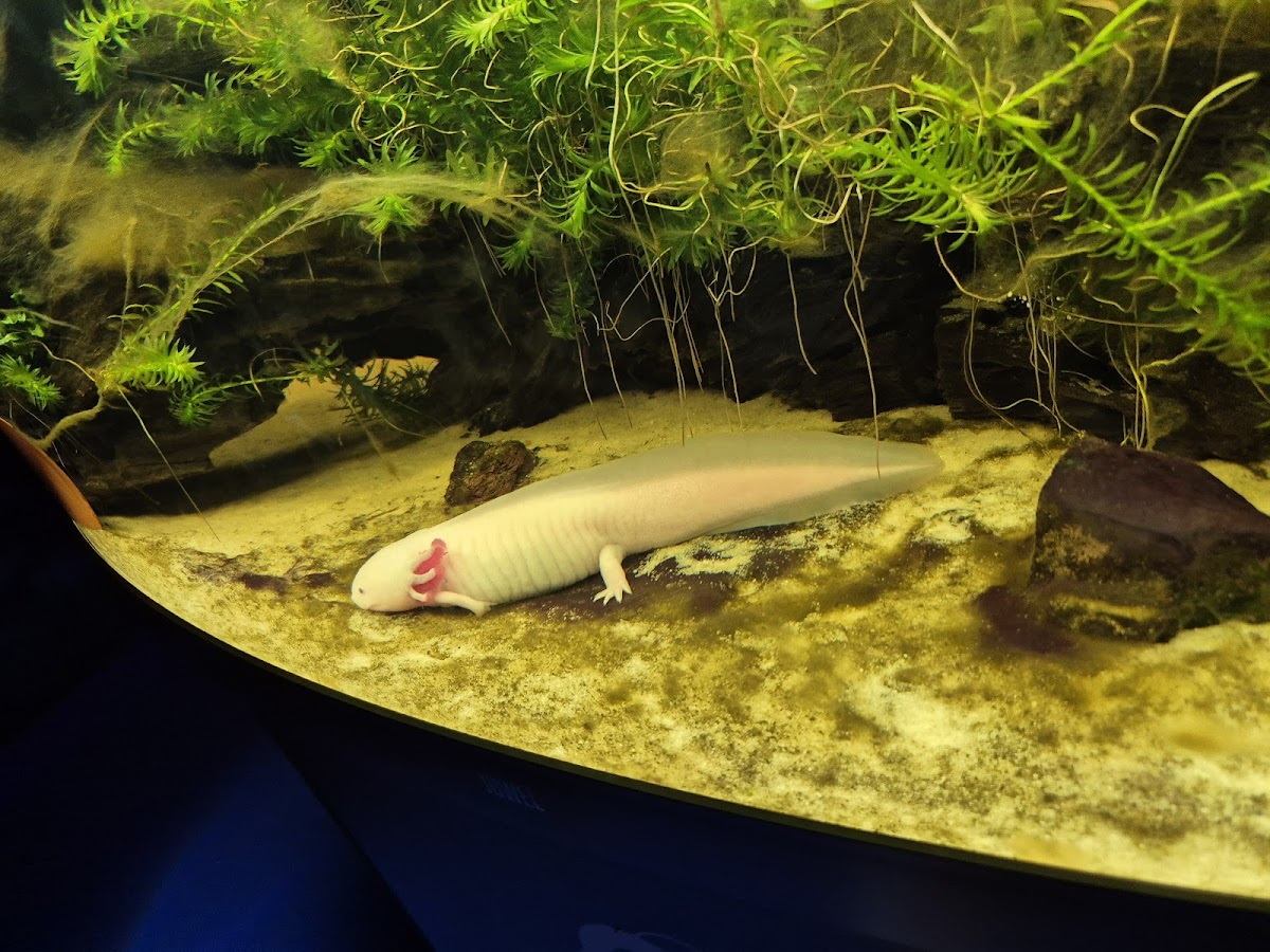 Science Experiences Paris, vue extérieure