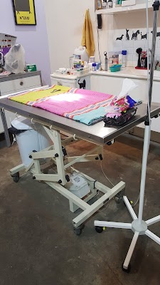 ד"ר טלי אברהם מרפאה וטרינרית