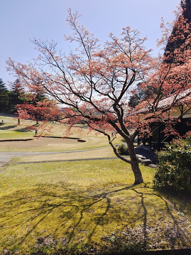 Kaga Country Club - Photo 9