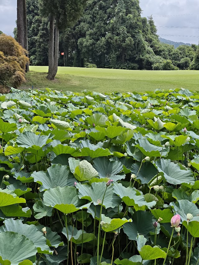 Kaga Country Club - Photo 7