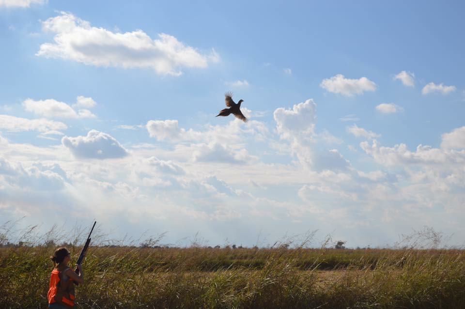 Garcia's Hunting Preserves