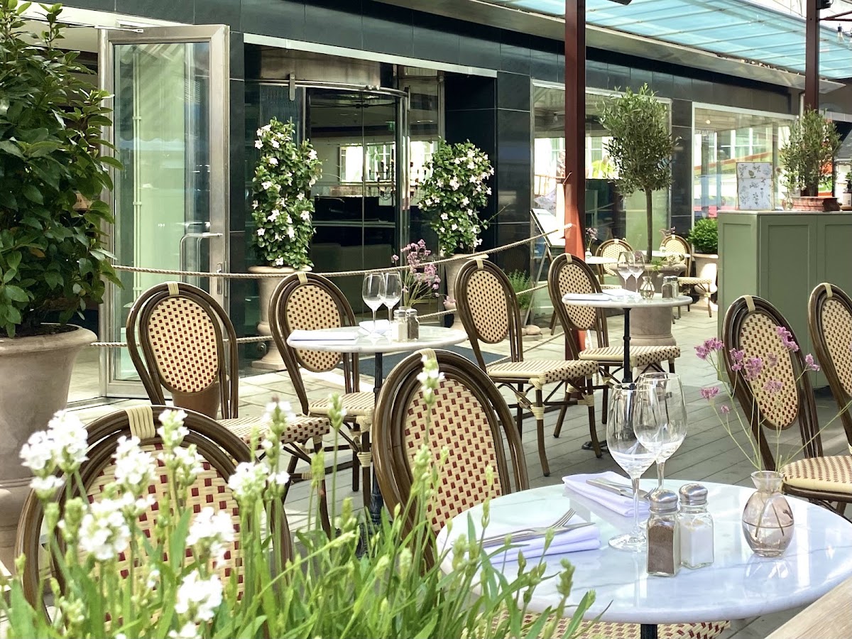Mornington Hotel Stockholm City, dog-friendly hotel, photo 4