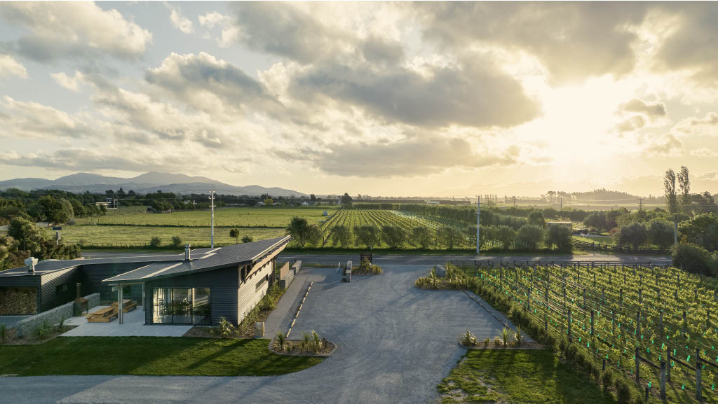 Nga Waka Vineyard