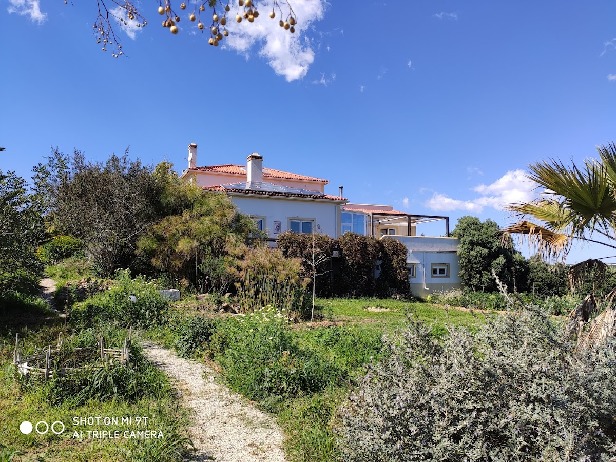 Ashram Ram Dass Guru at Quinta do Rajo