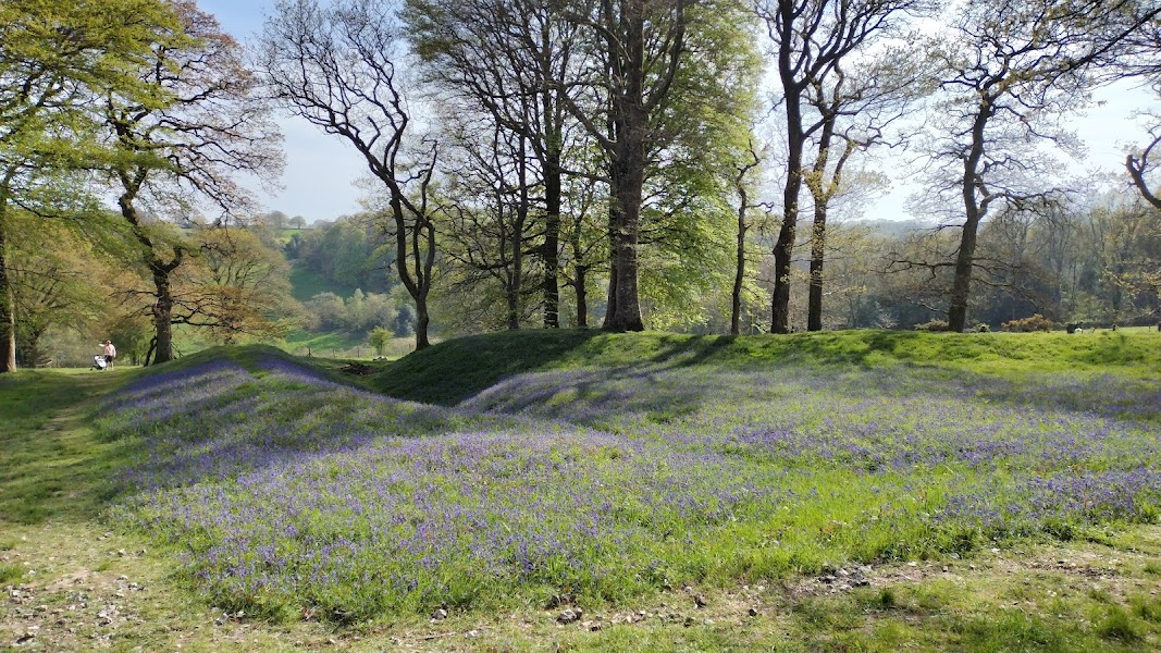 Blackbury Camp
