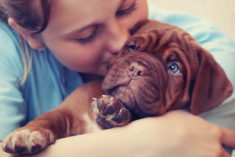 VETALYS VETERINARIOS SEVILLA