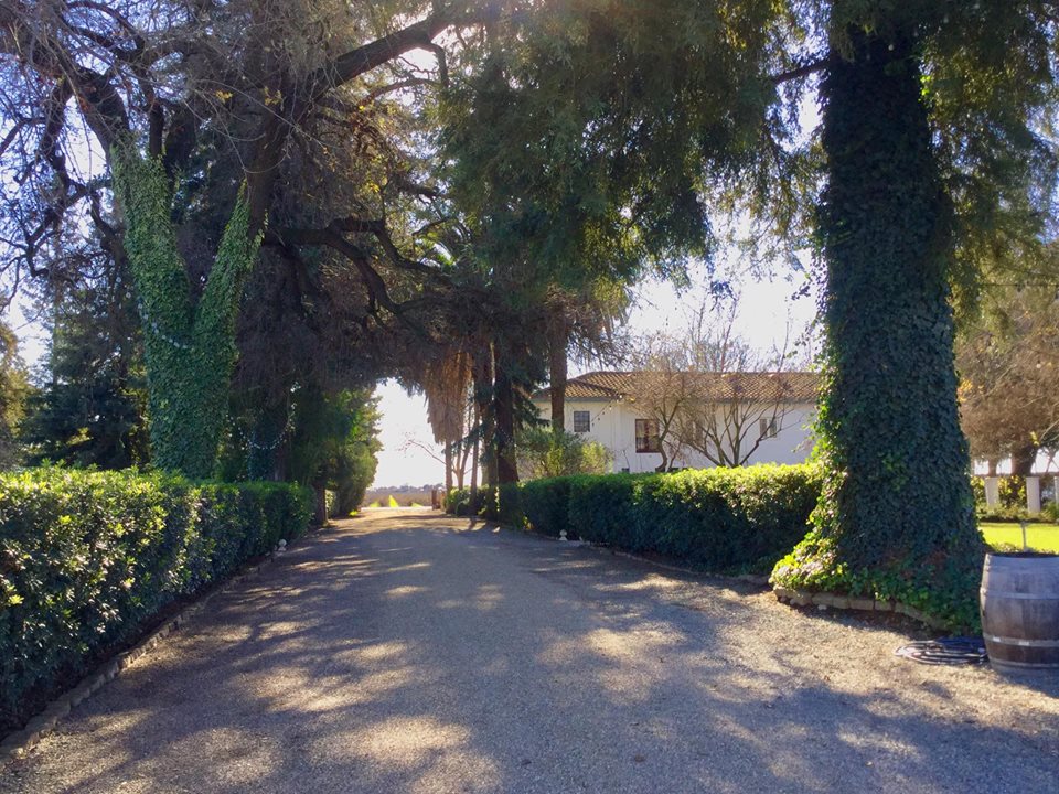 Durst Winery & Estate