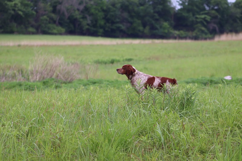 Wirth Woods Preserve - Photo 2