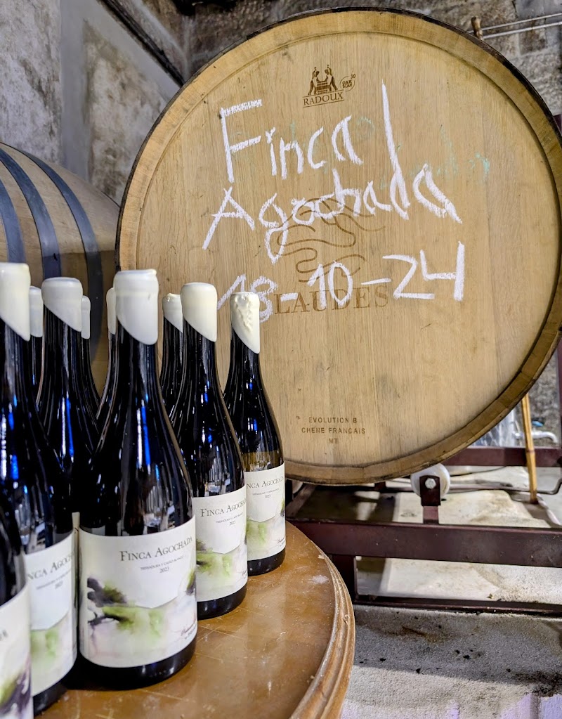 Adegas Laudes photo 3