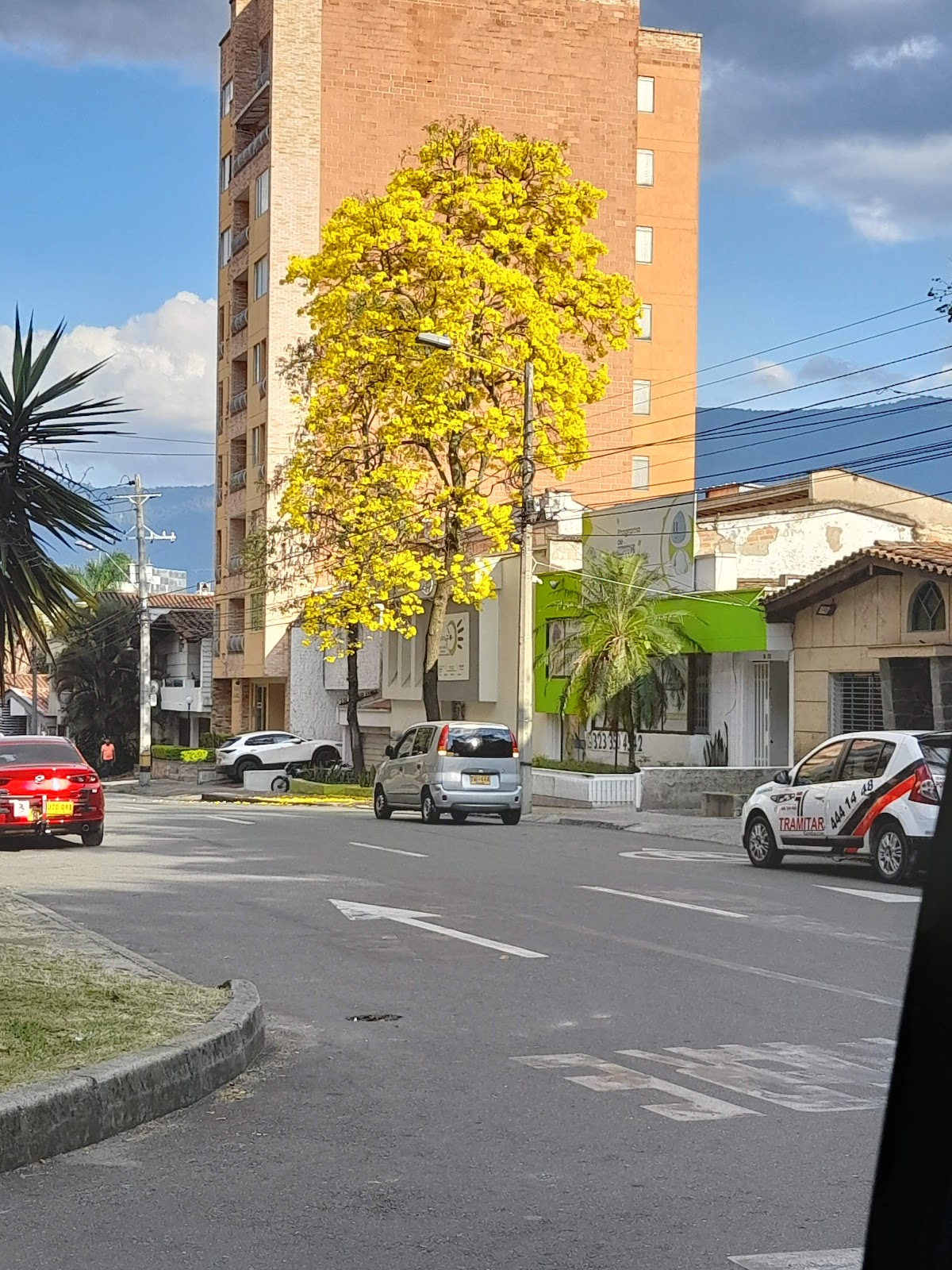 Laureles