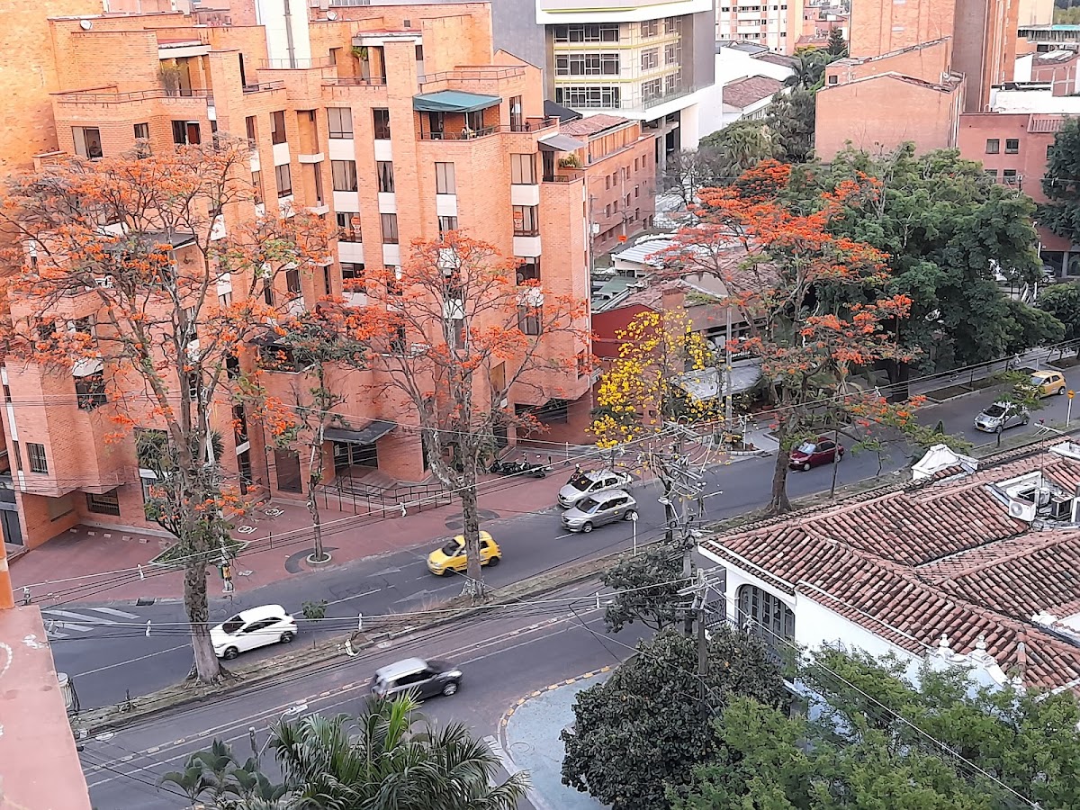 Laureles
