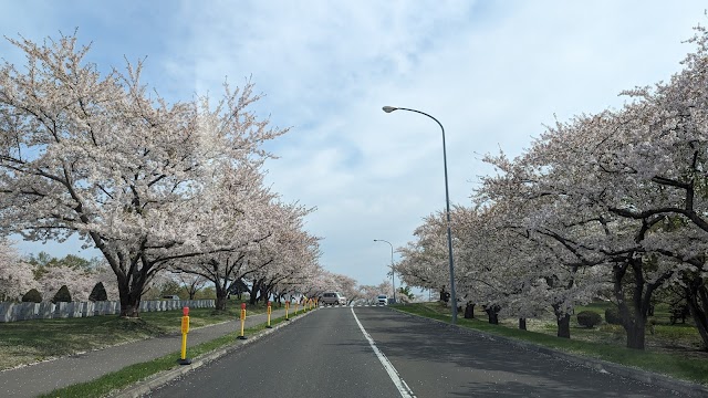 Chateraise Country Club Ishikari - Photo 5