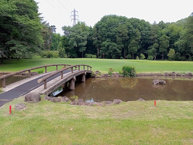 Koyama Golf Club - Photo 7