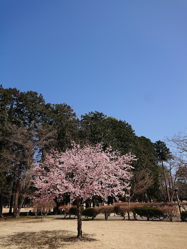 Koyama Golf Club - Photo 2