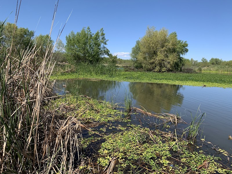 Base & Meridian Wildlife Area - Photo 1