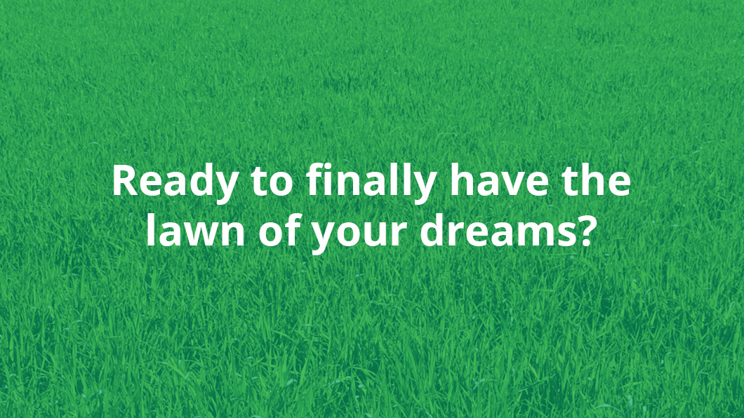 Quality All-Care Lawn Services
