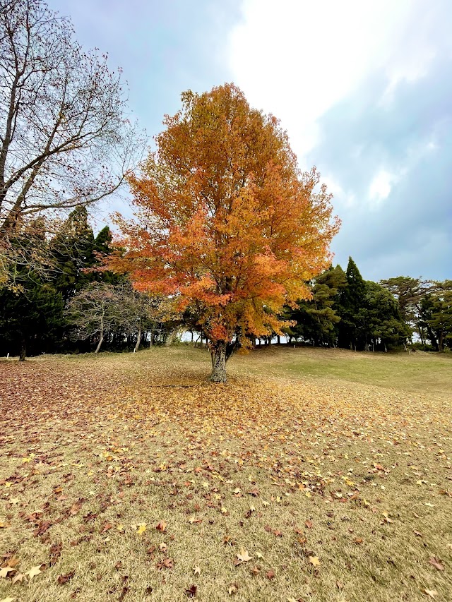 Kibi Kogen Country Club - Photo 5