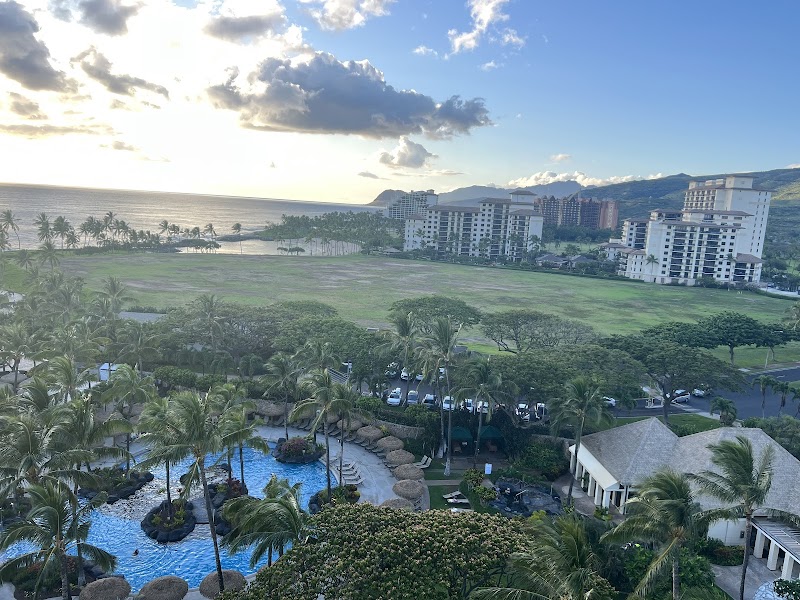 Tucker & Bevvy photo 4