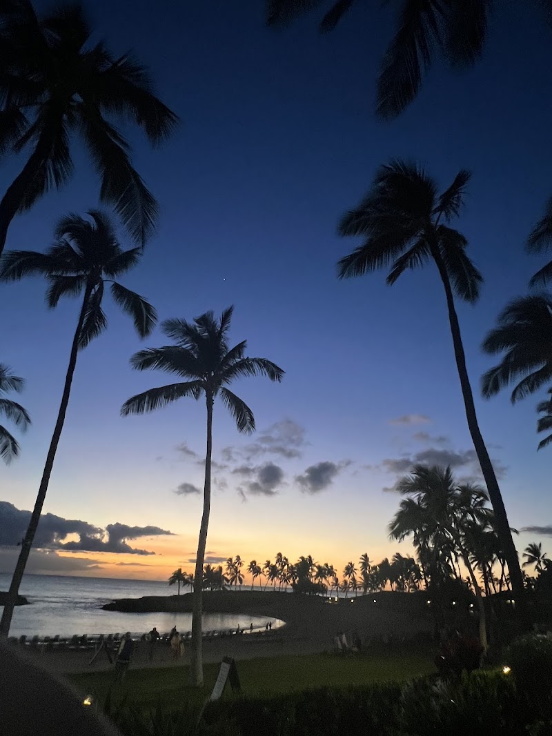 Tucker & Bevvy photo 1