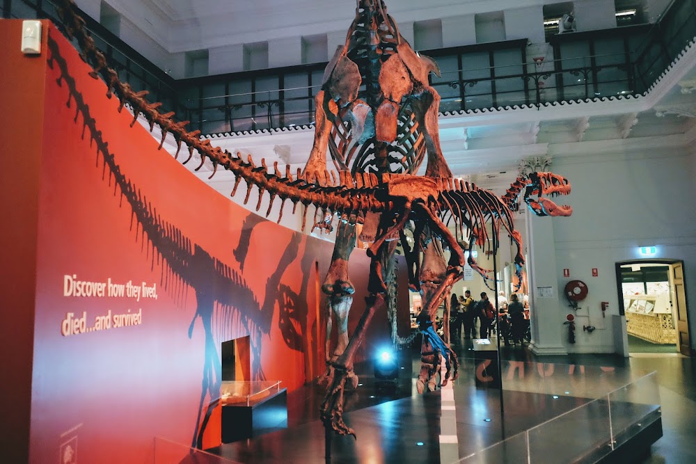 Australian Museum fotoğraf 1
