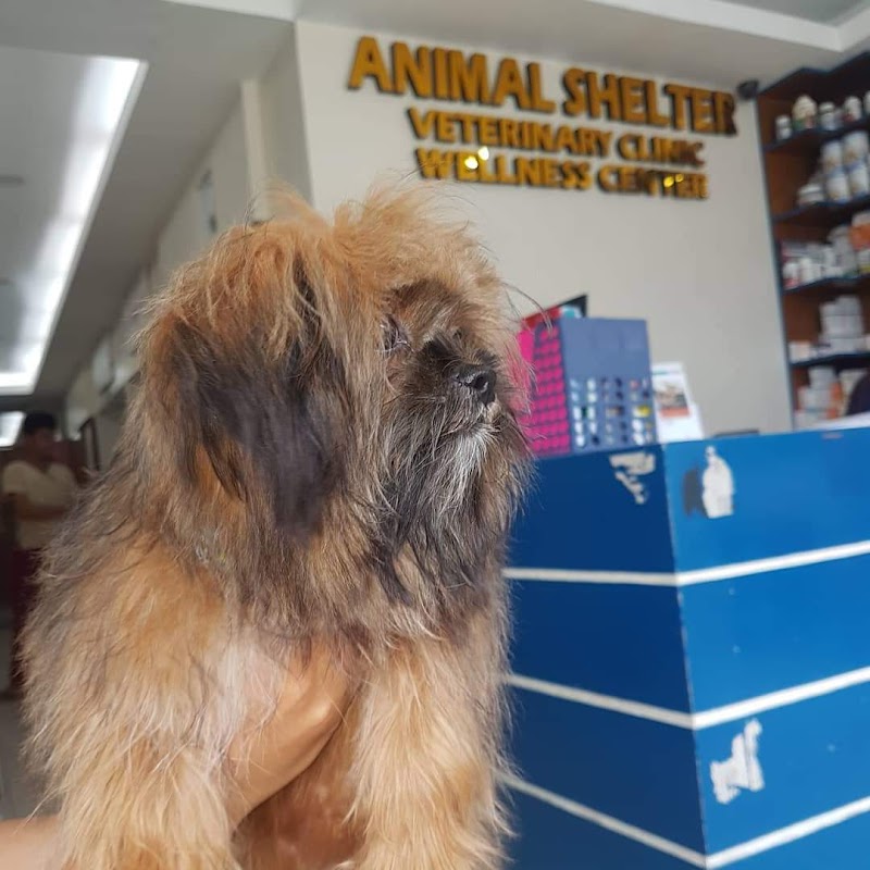 P.V. Animal Shelter Veterinary Clinic