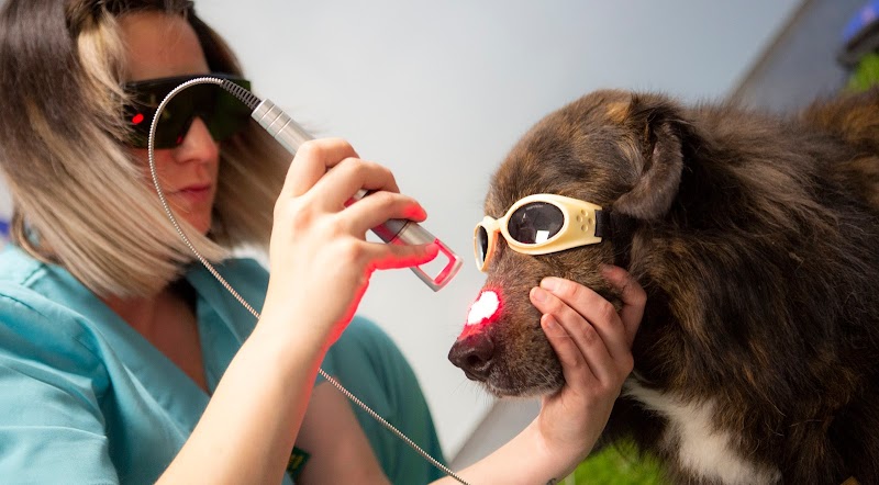 RESET Rehabilitación Veterinaria