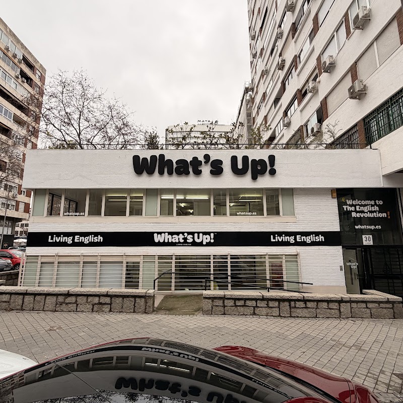 What's Up! | Academia de Inglés Madrid