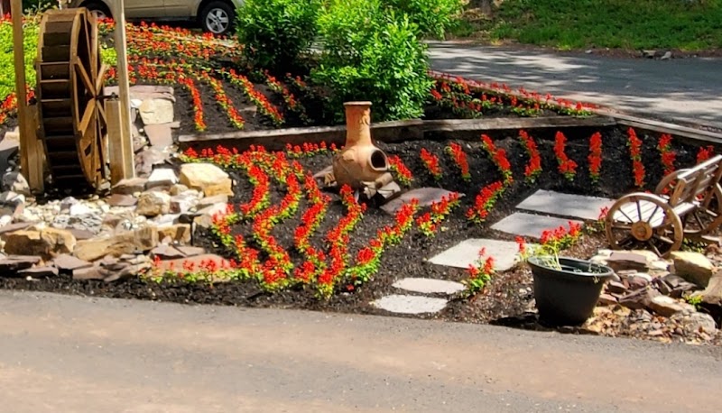 Tuckaway Farm and Greenhouse photo 4