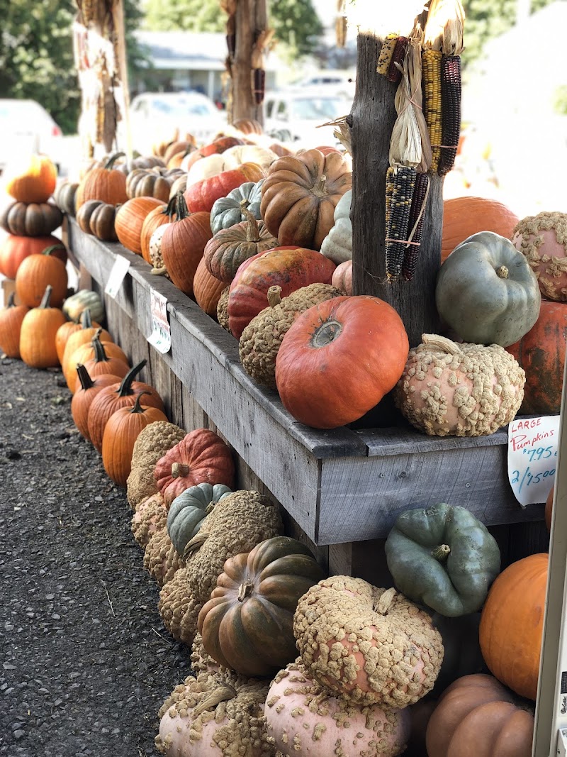 Tuckaway Farm and Greenhouse photo 3