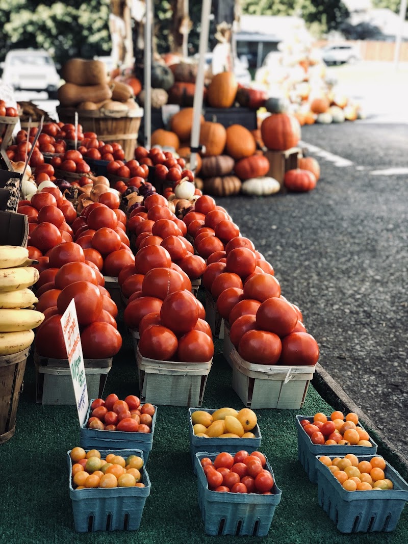 Tuckaway Farm and Greenhouse photo 1