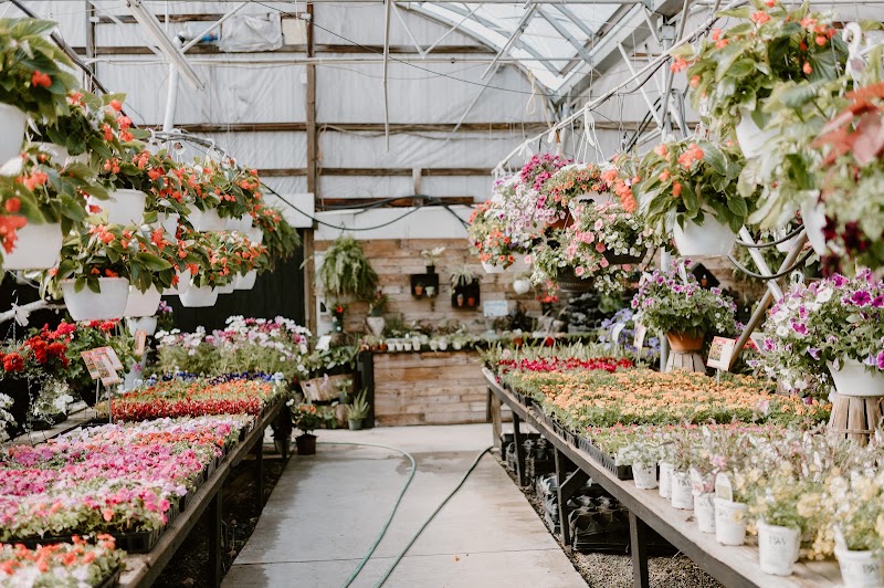 Tuckaway Farm and Greenhouse photo 3