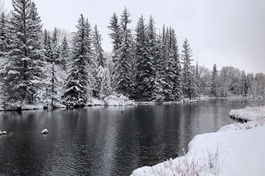 Aspen Center for Environmental Studies photo 4