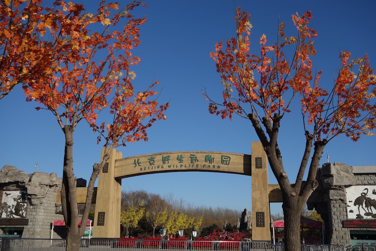 Beijing Wild Animal Park （Northwest Gate 2）