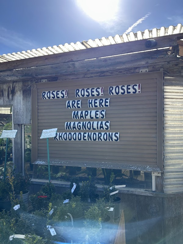 Half Moon Bay - Nursery 1