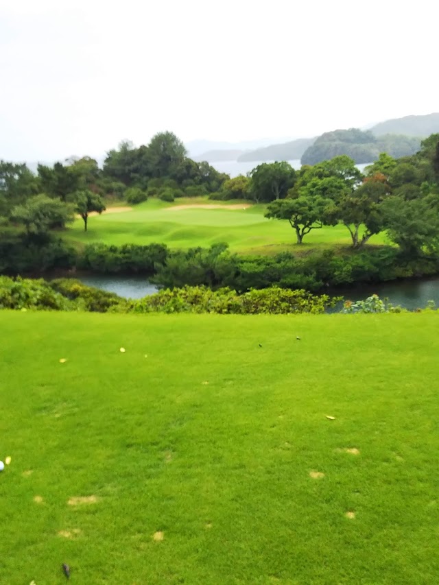 Passage Kotomi Island Golf Club - Photo 4