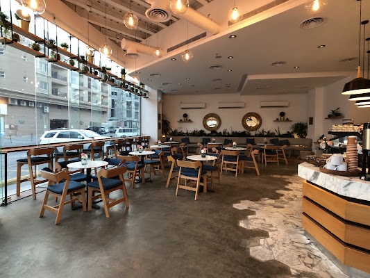 محمصة مقهى قاف