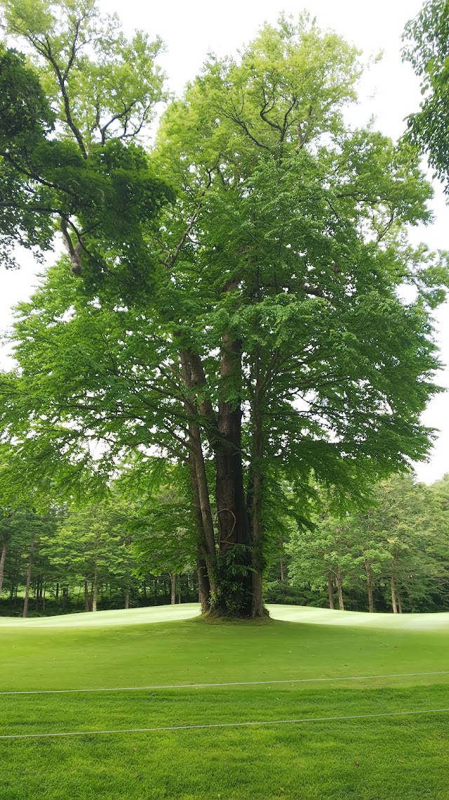 Katsura Golf Club - Photo 5