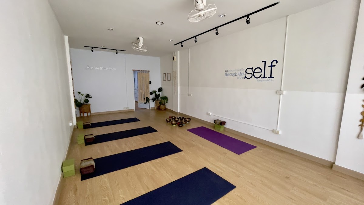 Annie Bliss Yoga — 3