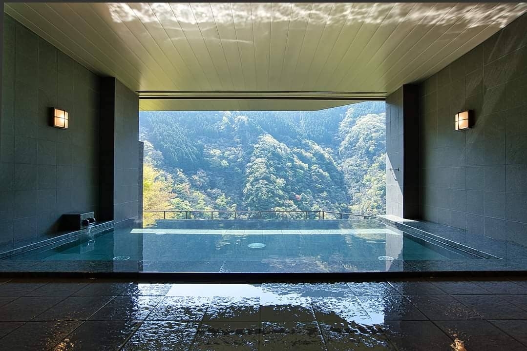 Hotel Iya Onsen - hotel in Iya Valley, Tokushima (3)