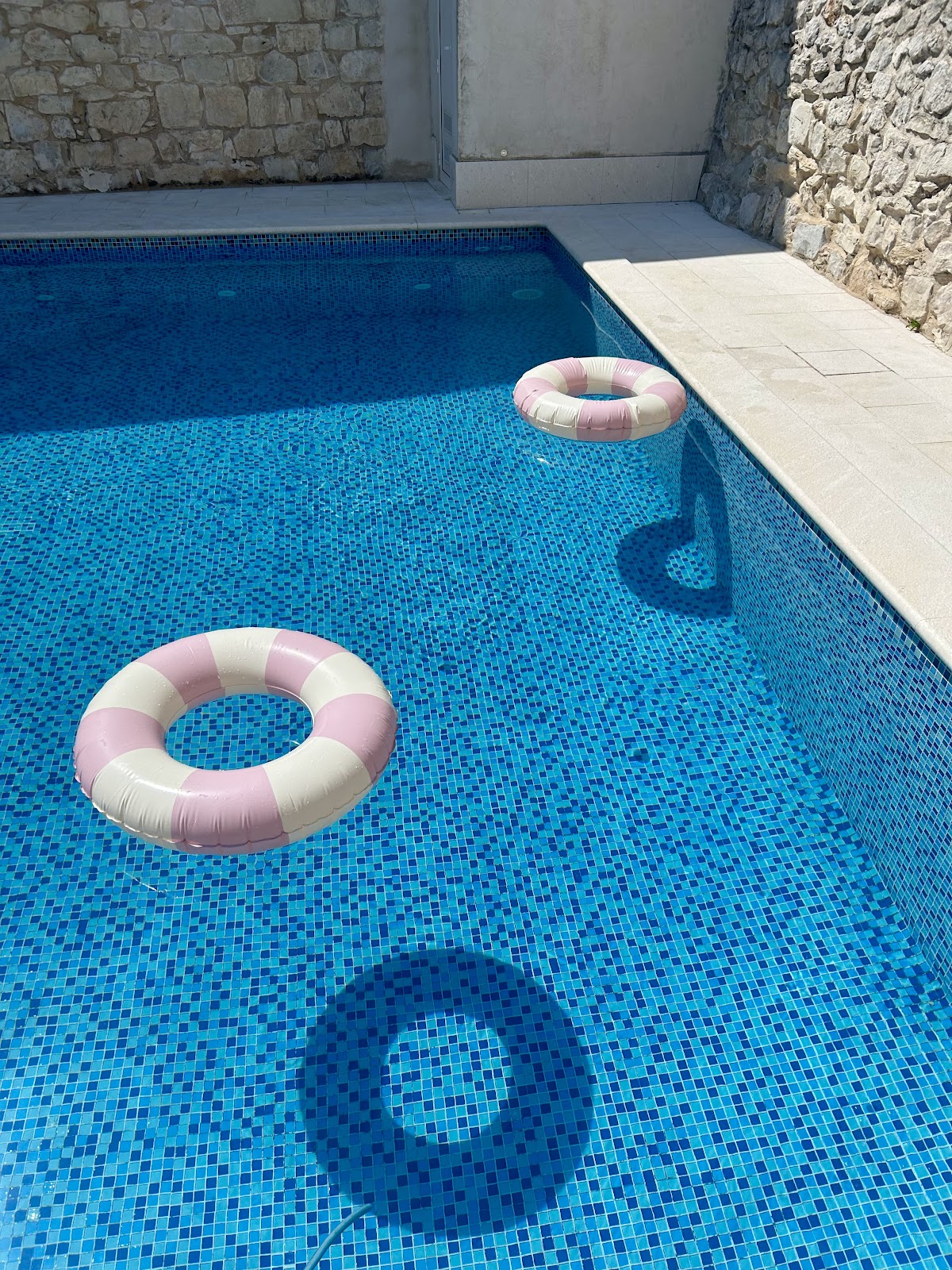 Hotel Agava Split, dog-friendly hotel, photo 2