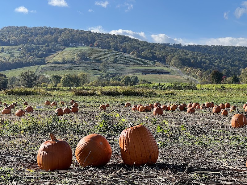 Great Country Farms photo 3